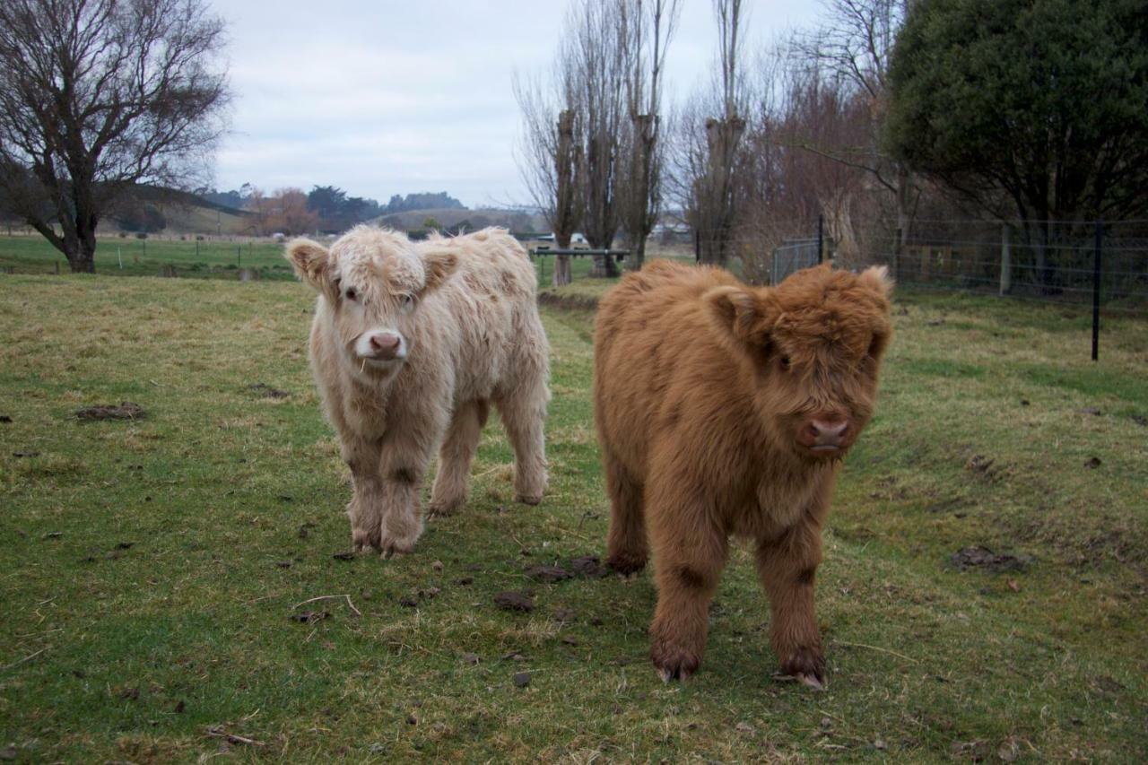 Highlands On Homestead Oamaru Exteriér fotografie